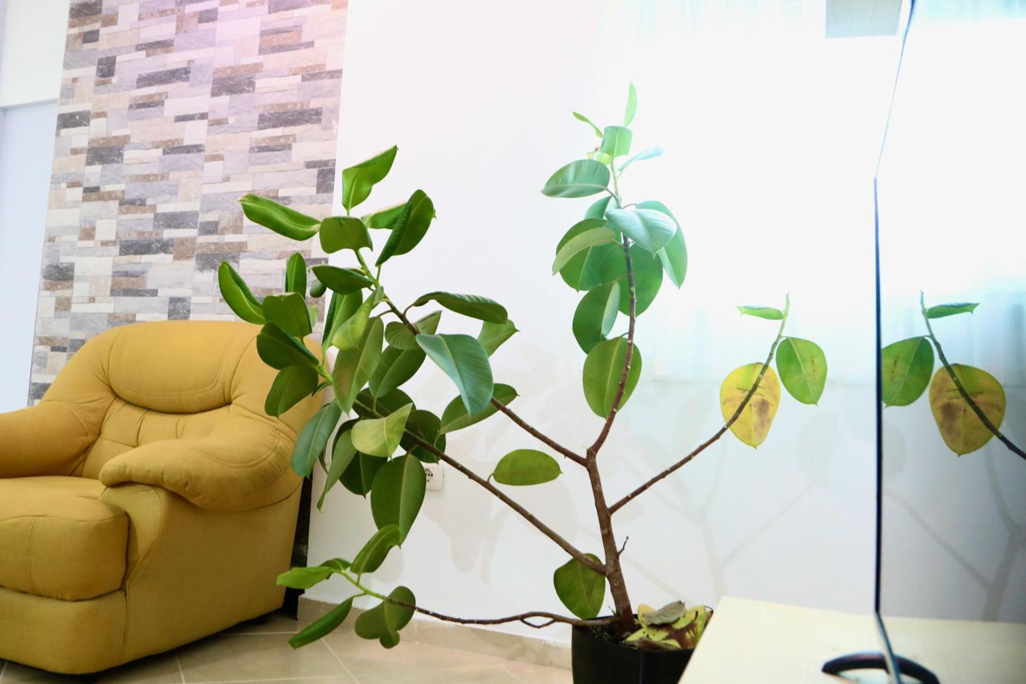 Apartment The Bllok Spot Tirana